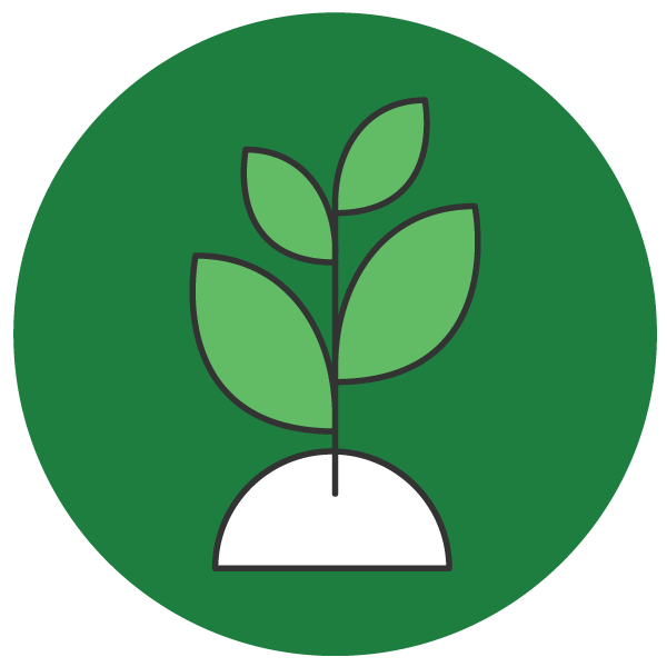 Growth mindset icon